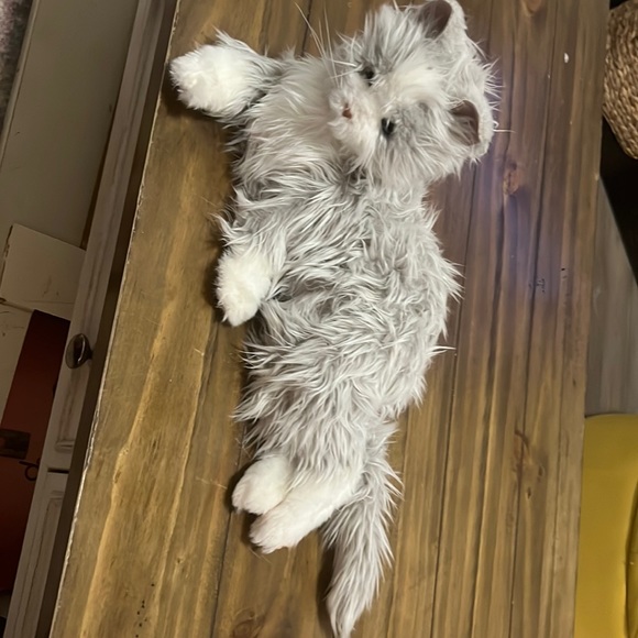 Joy for All Robot Cat - Picture 1 of 1